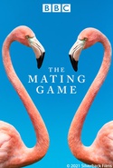 The Mating Game Season 01